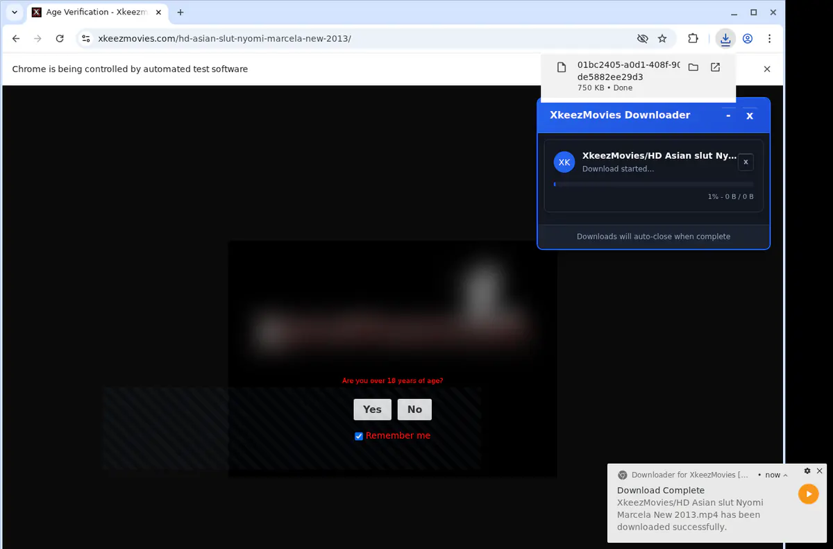 Xkeezmovies Video Downloader screenshot 2