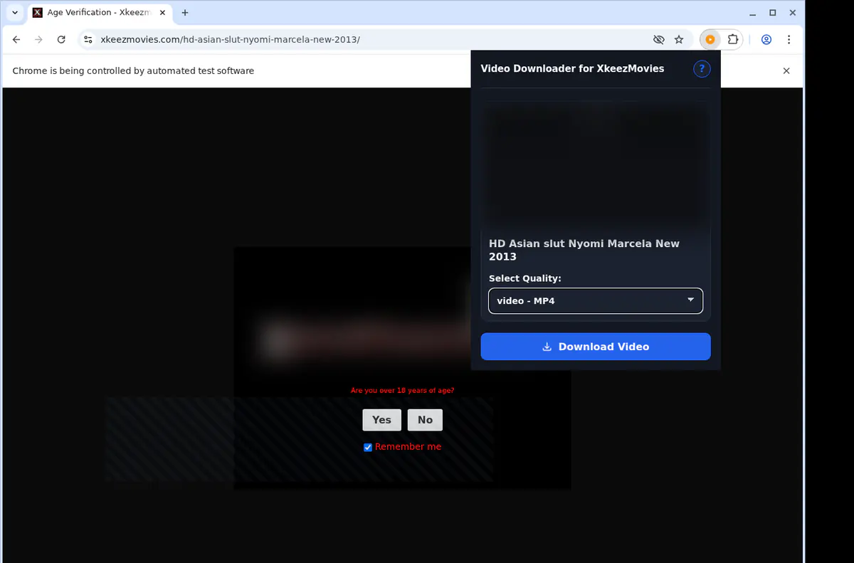 Xkeezmovies Video Downloader screenshot 3